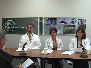 CSU Q & A Video on Canine Cancer from the Morris Animal Foundation
